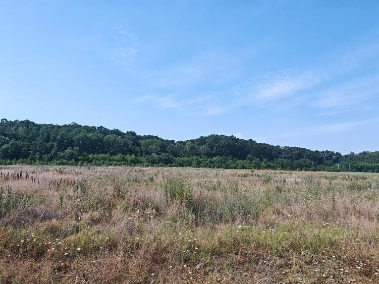 Teren Corbeanca – Balotești, 35.000 mp, lângă pădure și nodul rutier A0. - 4