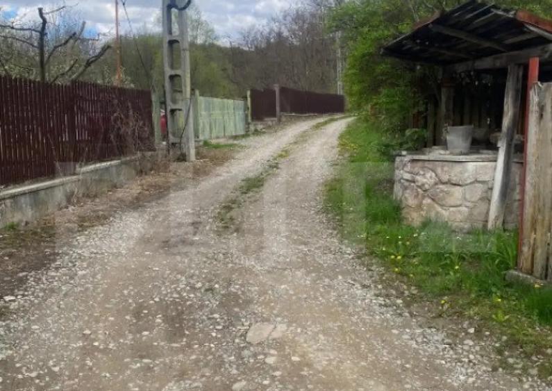 Teren 784 mp, Nistoresti, jud Prahova - 3