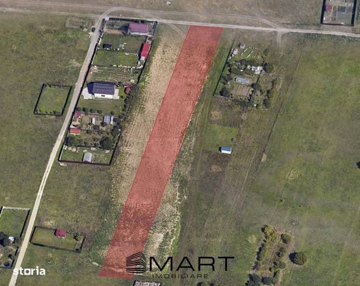 Teren 5000 mp, deschidere str. Nicolae Labis - zona Tractorul - 4