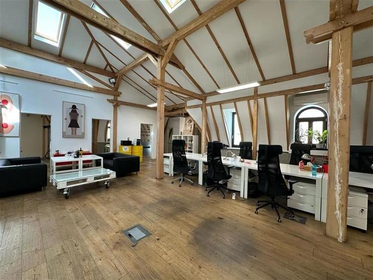 Spatii pentru birouri in vila - 233 mp - aproape km 0 - 5