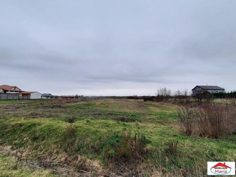 Teren intravilan 12216 mp in Vetis construibil - 5