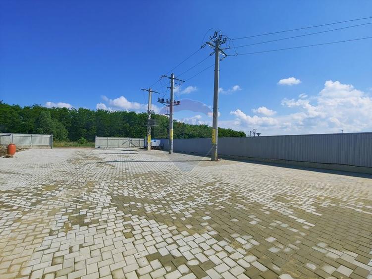 Depozit frigorific de 216 mp cu 4 celule, Scheia, Suceava - 15
