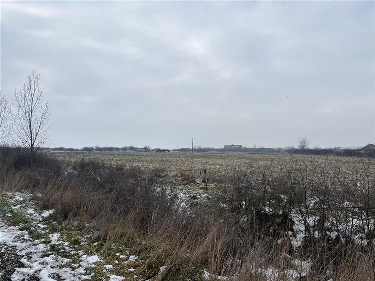 RECO teren intravilan Inand - 10