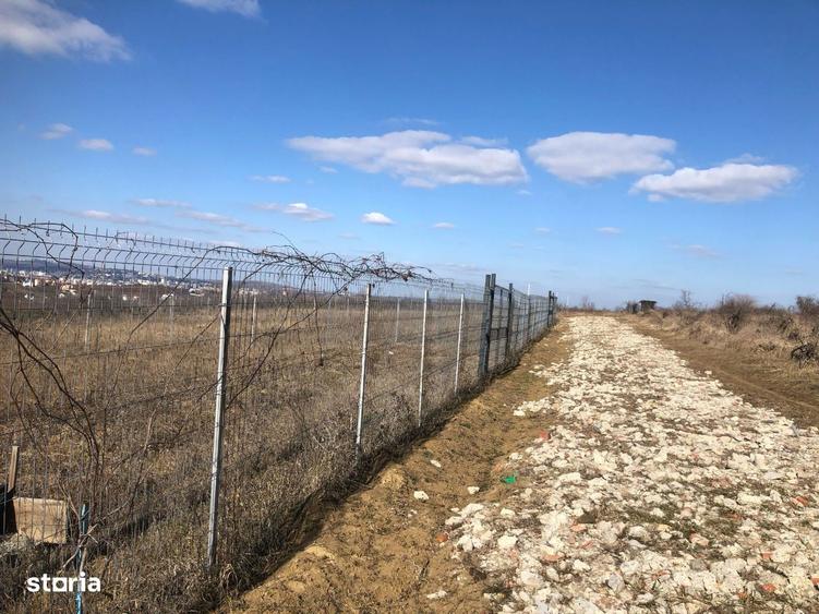 Teren intravilan Bucium 1000 mp, dealul Craitelor - 7