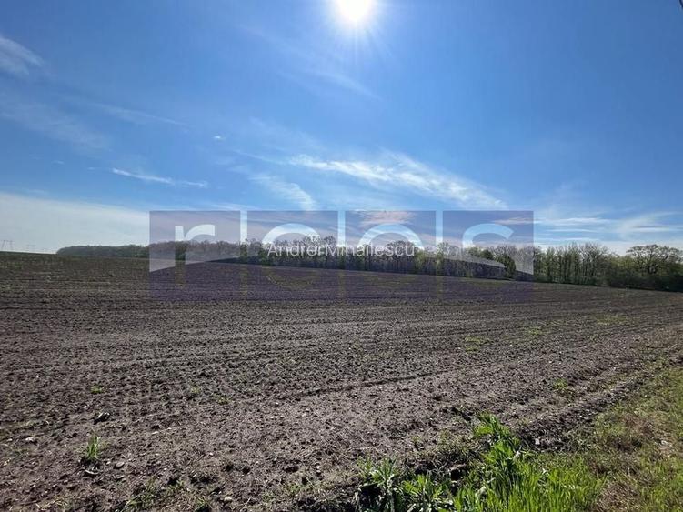 Teren Vadu Anei langa padure 1300 mp