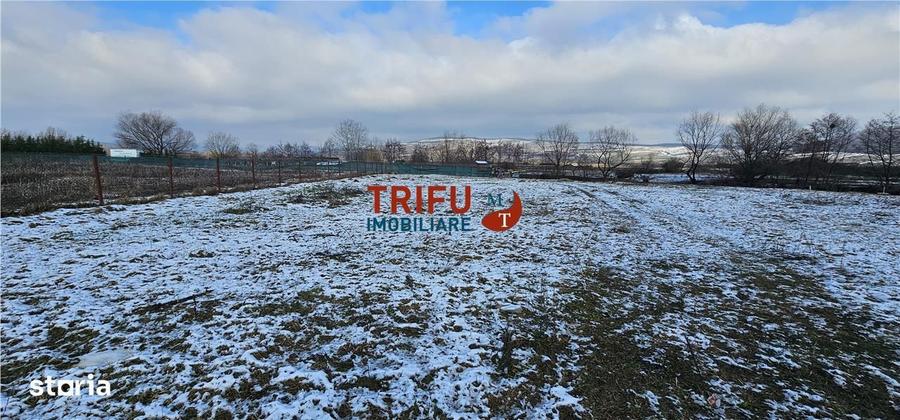 Teren Intravilan Construibil in Micesti, Alba Iulia - 2
