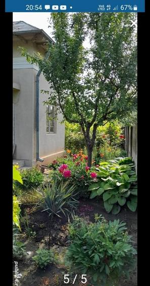 Vand casa in orasul corabia olt - 5