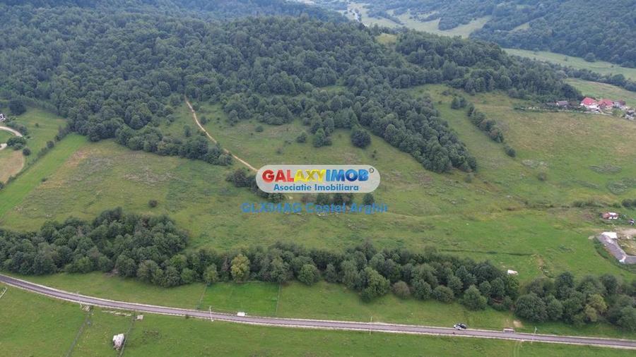 Vindem teren 20000 mp Cheile Rasnoavei - Brasov , pentru case vacanta - 6
