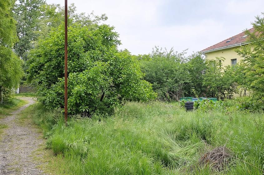 Teren Balotesti - Intravilan Constructii - 833 mp - Utilitati - Lac - Ocazie - 3