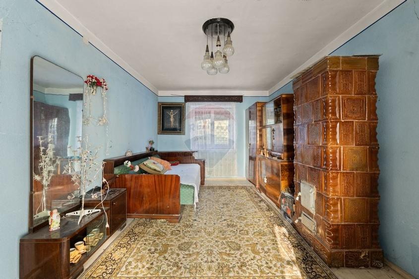 Gospodarie autentică bănățeană, cu teren generos și livadă – Frumușeni - 9