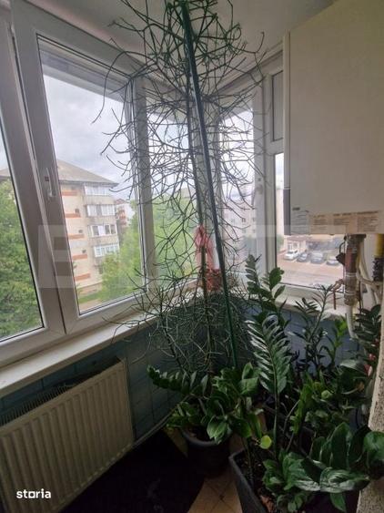 Apartament cu 2 camere decomandat în Obcini