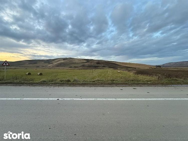 Teren Extravilan I 6000 Mp I Acces la drum | Cojocna - 3