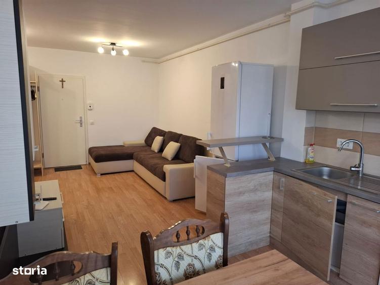 Apartament 2 camere tip studio, pet friendly Avantgarden 3 - 12