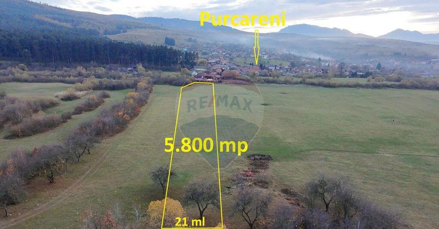 Teren 5.800 mp Purcareni curent, gaz, apa / Strada 30 de... - 3
