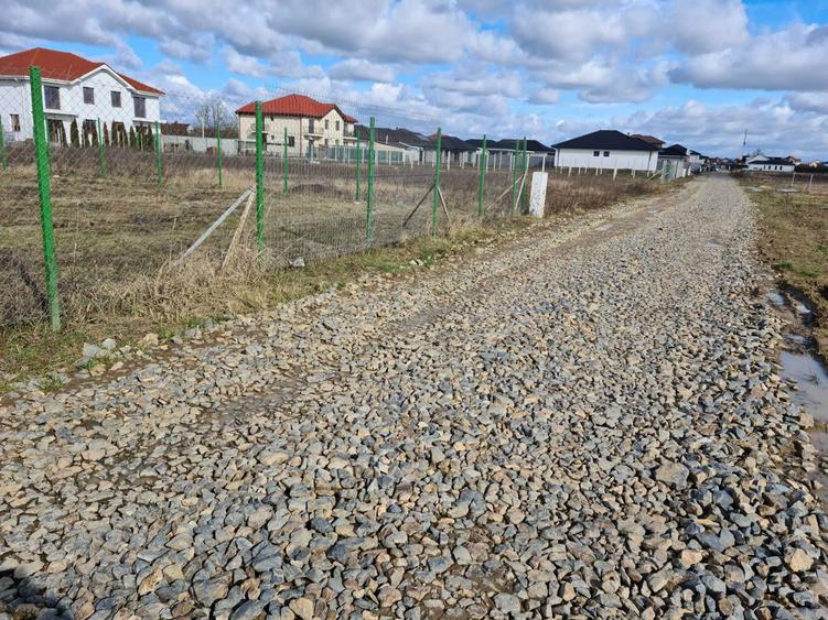 intravilan pt constructii diverse , front generos str ciocarlia paulesti - 3