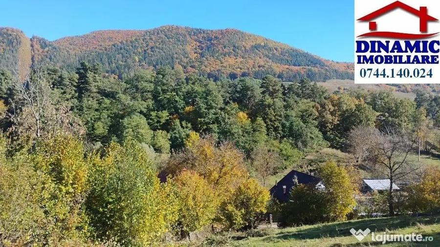 3600 mp teren intravilan, sat Bistrita, 12 Euro/mp - 2