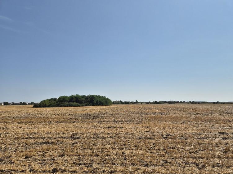 Teren intravilan 4428 mp - Balotesti - 1