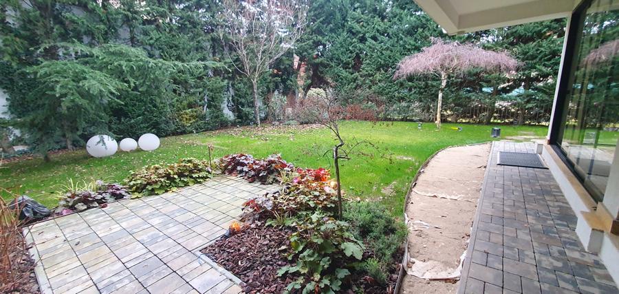 Vanzare Vila Iancu Nicolae/ British School - 34