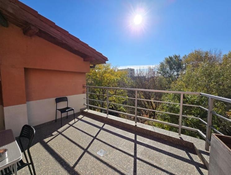 Duplex 6 camere Herastrau - 1