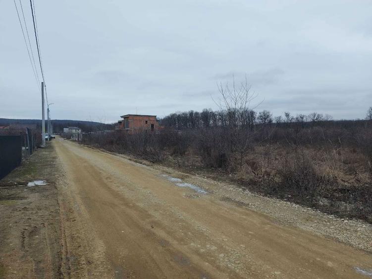 Teren intravilan - Colina Verde, Mosoaia, Sat Smeura, jud. Arges - 1