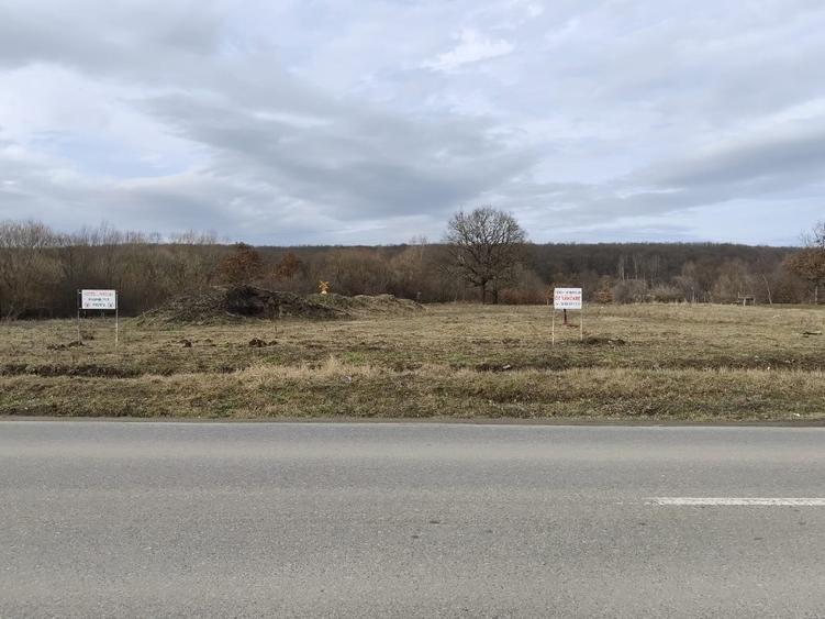 Teren intravilan  - 3