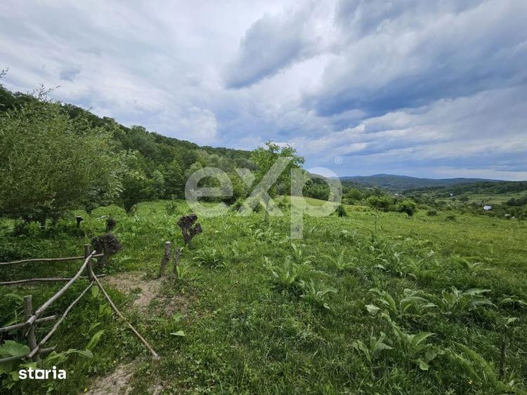 Teren 11,935mp Margineni / Strada Dubas - 2