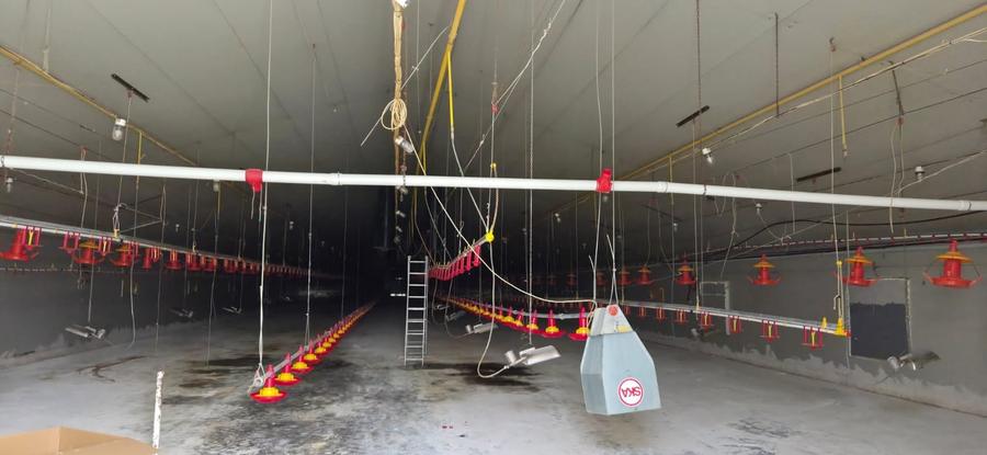 Ferma pasari- curci - 9