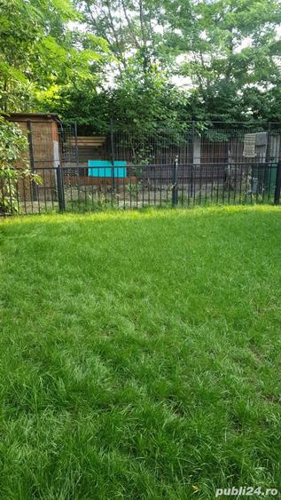 Casa de vanzare Mihailesti Popesti - 8