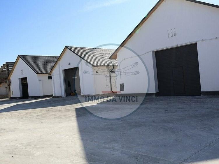 Inchiriem Hale Industriale / locuri de depozitare /birouri - 7