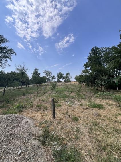 Casa de vacanta - Munteni Buzau - Jutetul Ialomita - Curte 2000mp - 13