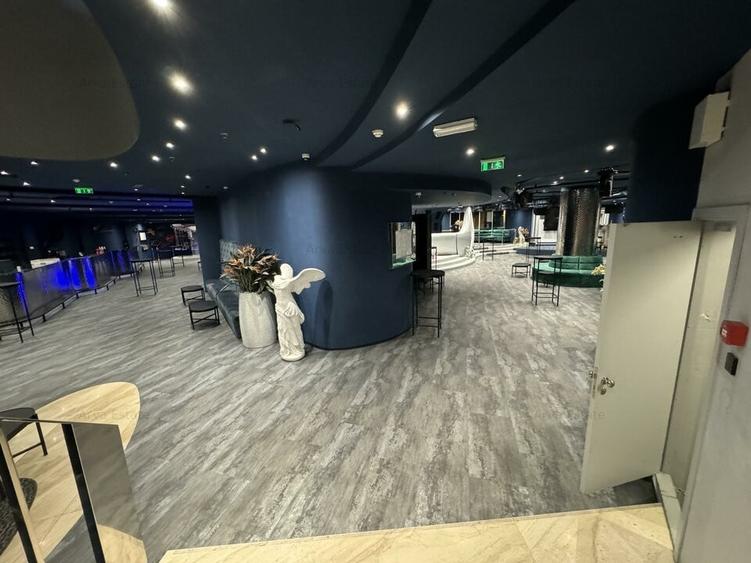 Vanzare Afacere la Cheie | Club de Noapte | Autorizat ISU | Herastrau 1150 MP - 8
