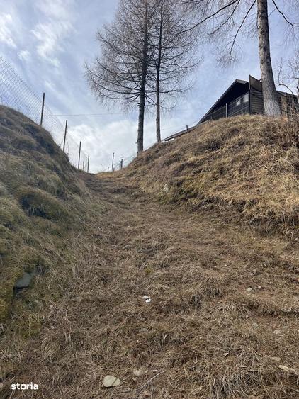 Oportunitate Premium Bran - Simon | 2800mp cu vedere panoramica Bucegi - 2