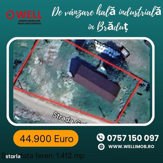 De vanzare hala industriala in Bradu? - 1