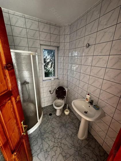 Vila cu livada Paulis, Arad - 14