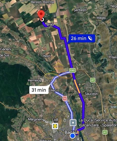 Teren extravilan - Padure de vanzare in Beresti Bistrita - 2