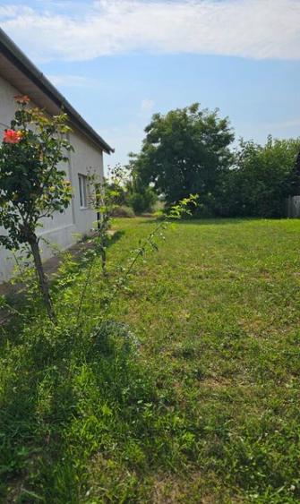 Apa, casa P+M,14 ari teren - 1