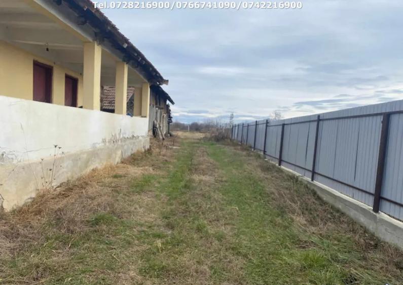 Casa situata in orasul Targu-Carbunesti , Localitatea Flor - 5