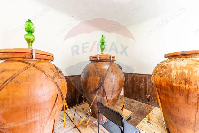 Conac aristocratic secolul XIX , domeniu 2,5 hectare Pauli?, Arad - 7
