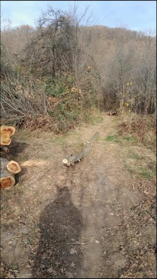 Vand teren intravilan livada - 2