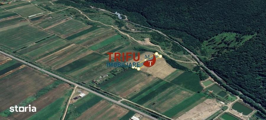 Teren de 2200 mp, în Ighiu