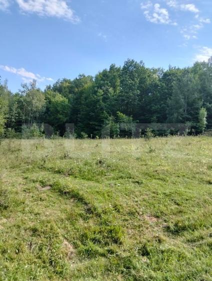 Teren Construcții intravilan de 70290 mp, în Poiana Ampoiului