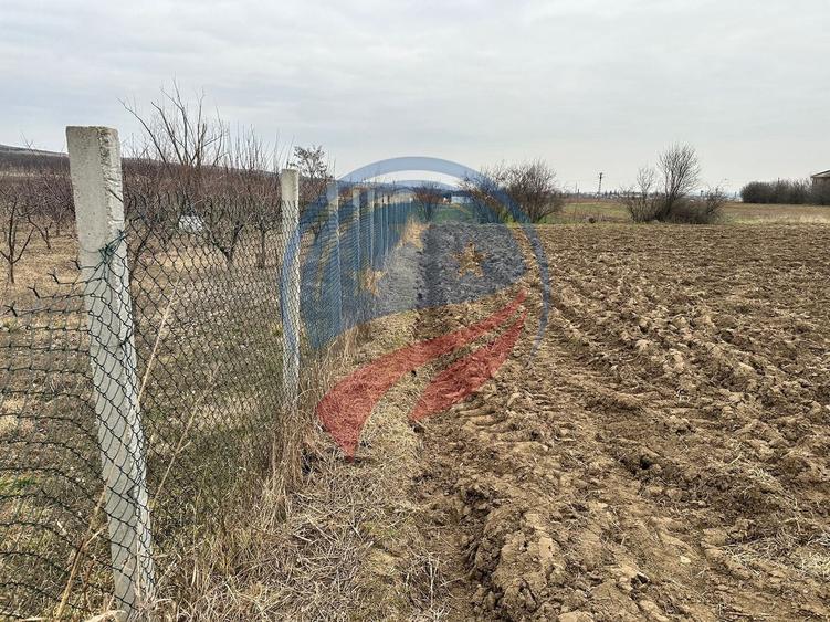 Teren Construcții intravilan de 935 mp, în Brădești