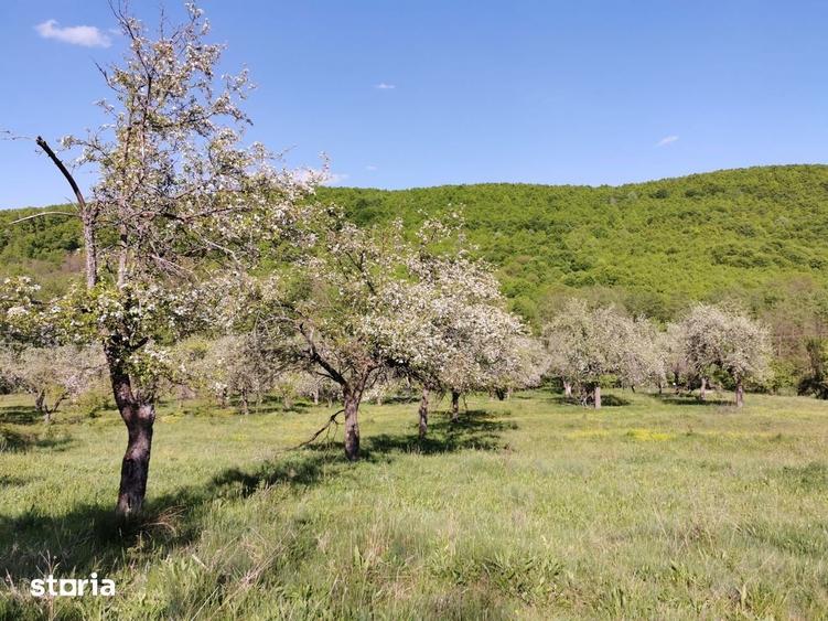 Teren de Vanzare, Budeasa Mica Potrivit pentru Casa de Vacan?a sau I - 8