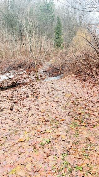 OPORTUNITATE - TEREN PENTRU PARC DISTRACTII!!! - 8