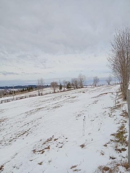 Vand teren intravilan - 4