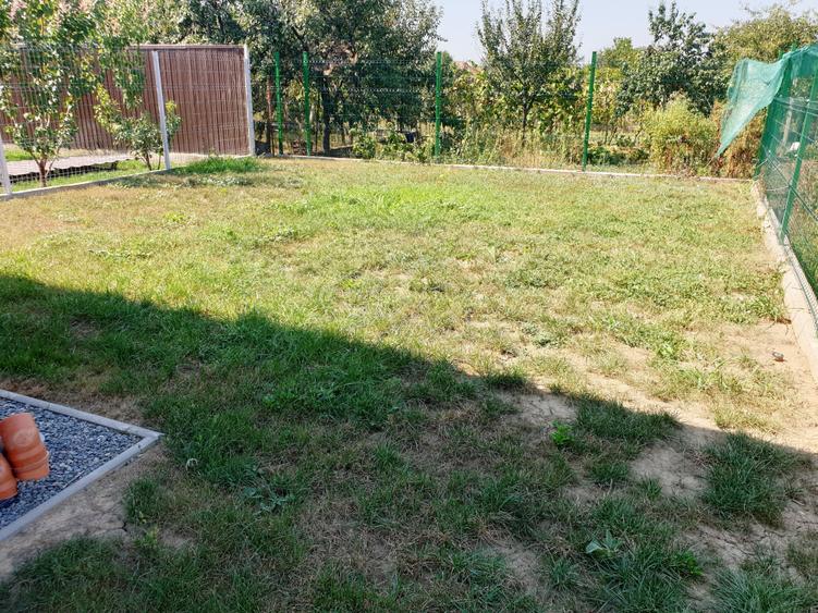 Casa noua Sannicolau mic - 8