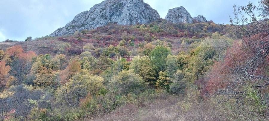 Teren extravilan 16121 mp apa si curent, ideal pentru cabane Zona Ramet