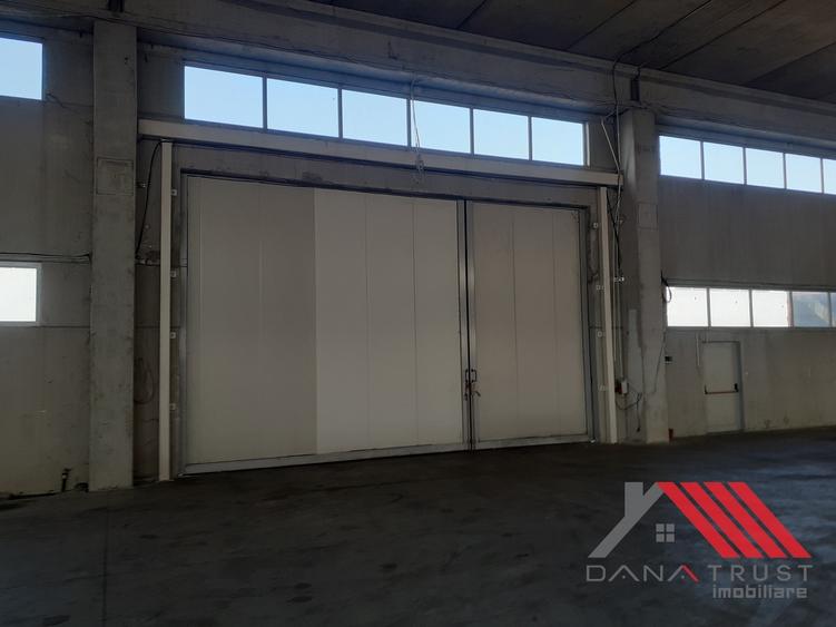 Hala depozitare  - Logistica  C. Lugojului acces TIR - 6