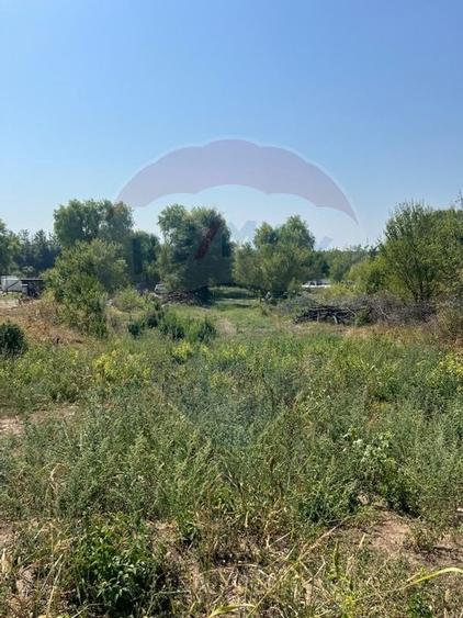 Teren de vanzare / 2,500 mp pe Malul Lacului Tancabesti /Ilfov - 2