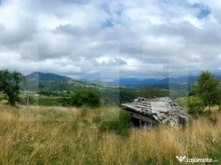 Teren 4008 mp, Moieciu, Pestera - 1